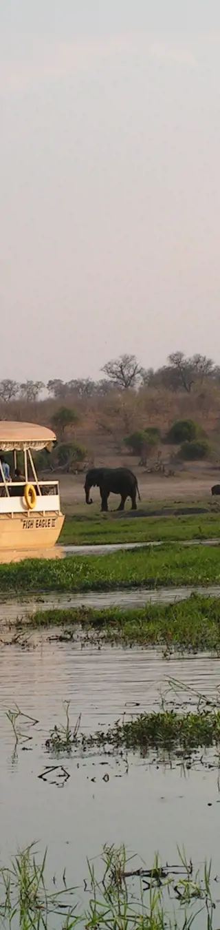 Geniesse eine Bootsfahrt auf dem Chobe River